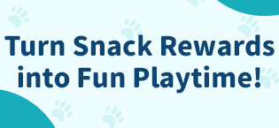 dog toys for aggressive chewers