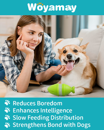 dog toys for medium dogs