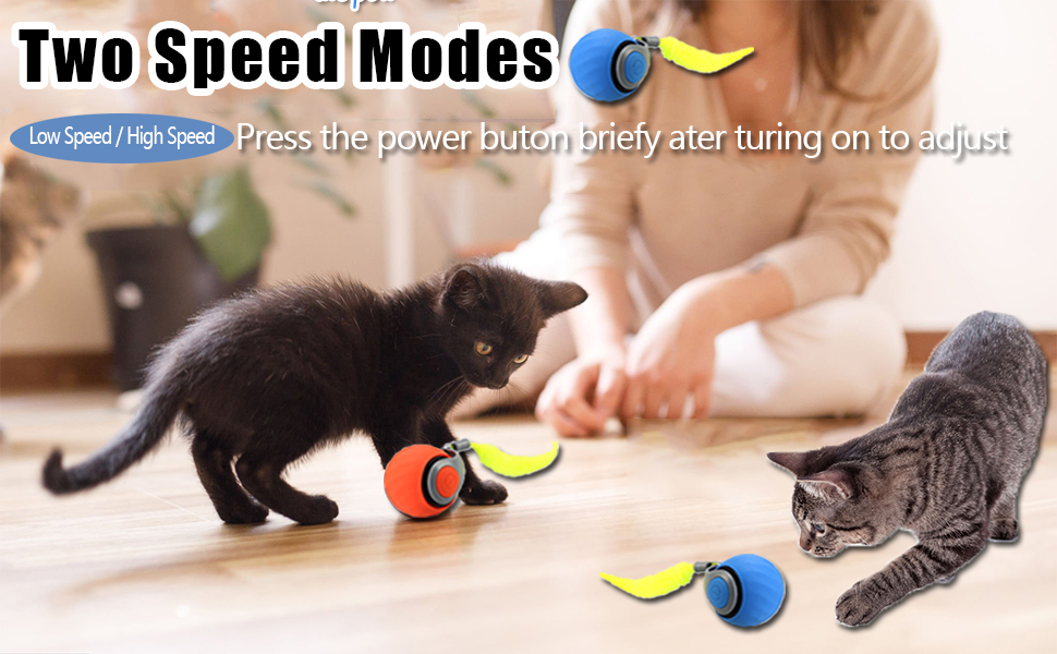 speedy tail cat toy