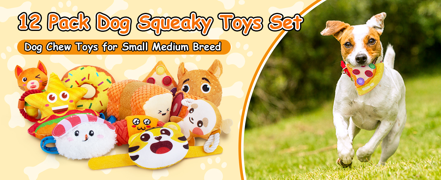 Dog Squeaky Toys