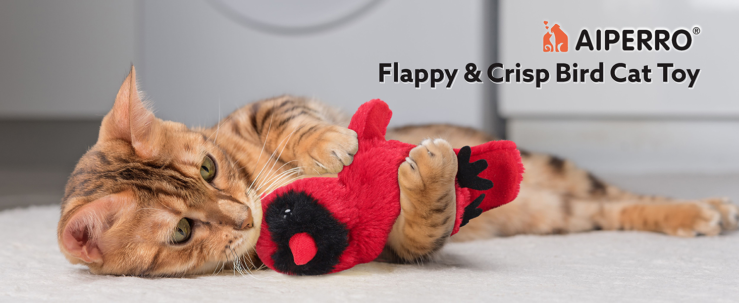 cat toys