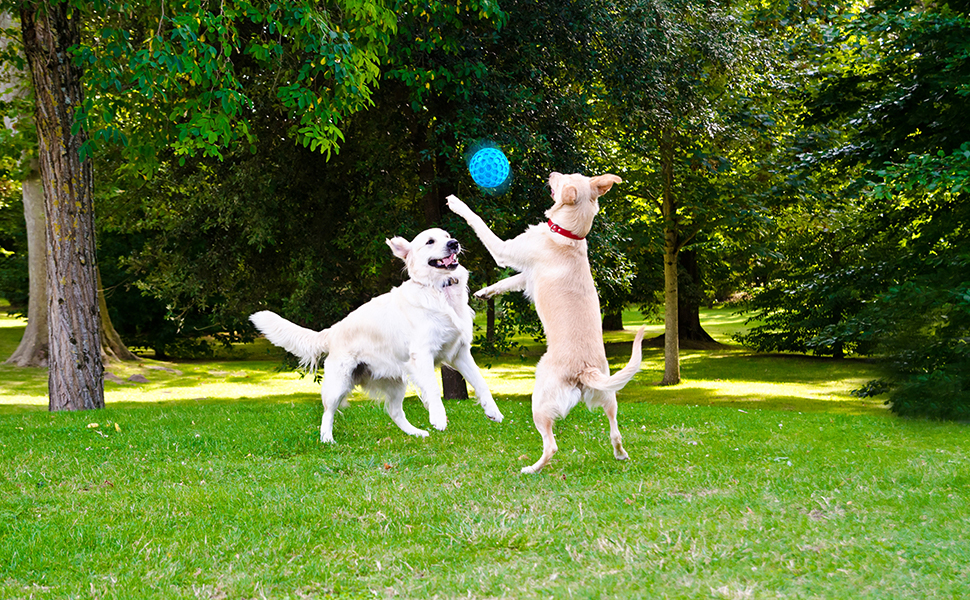dog toys for aggressive chewers