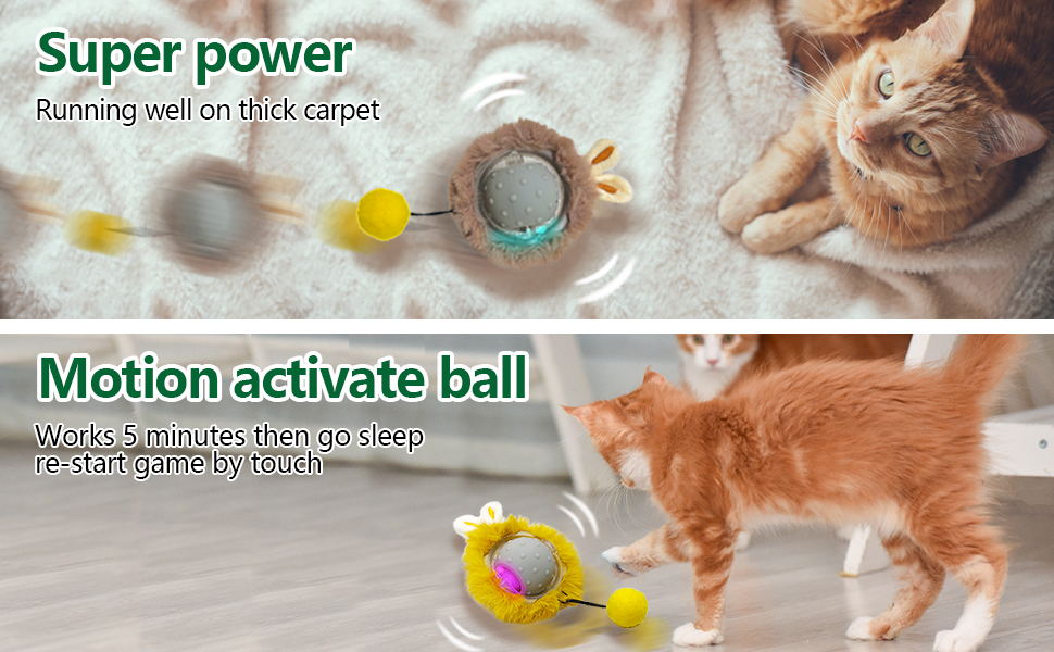 electric cat toy