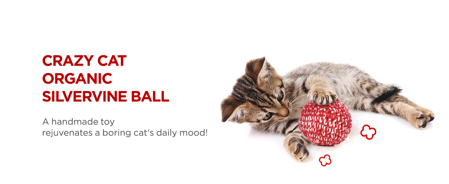 Catnip Toys for Cats