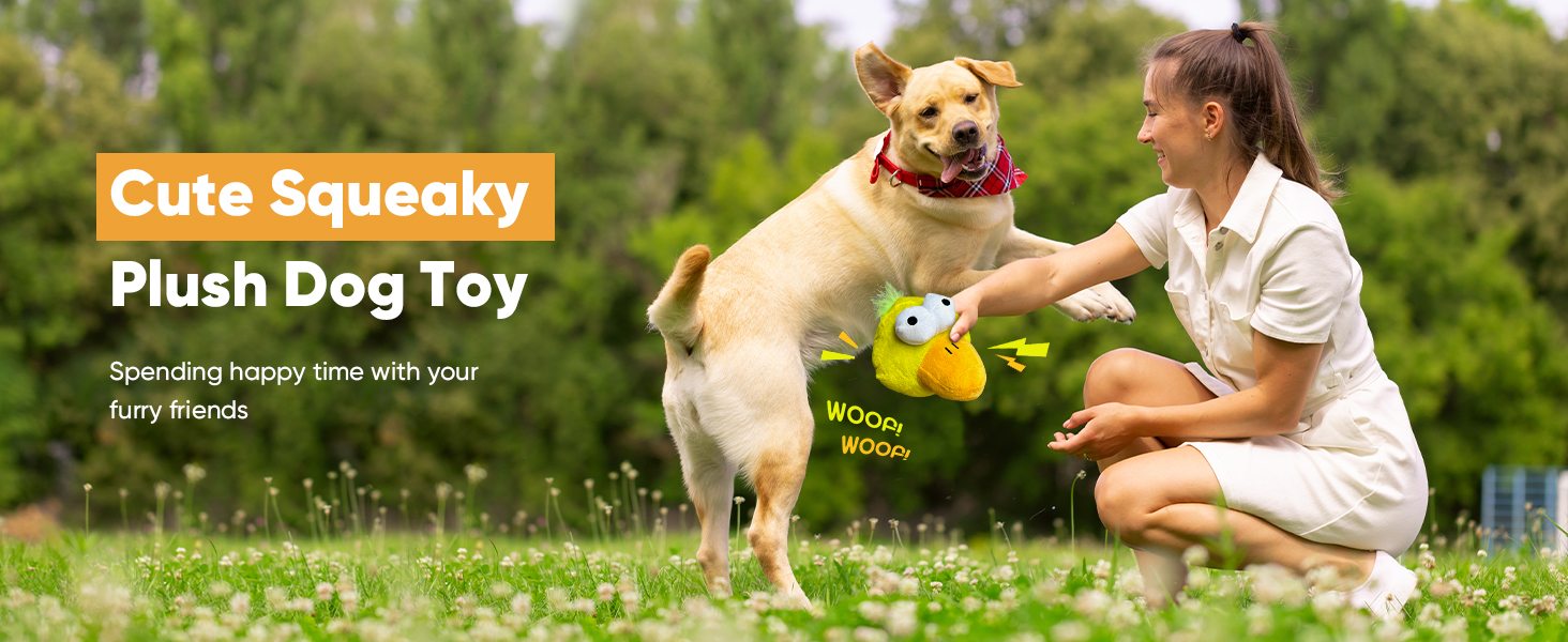 Squeaky plush dog toy