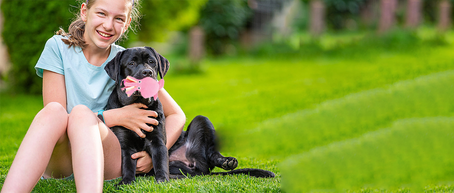 Squeaky Interactive Dog Toys for Small Dogs