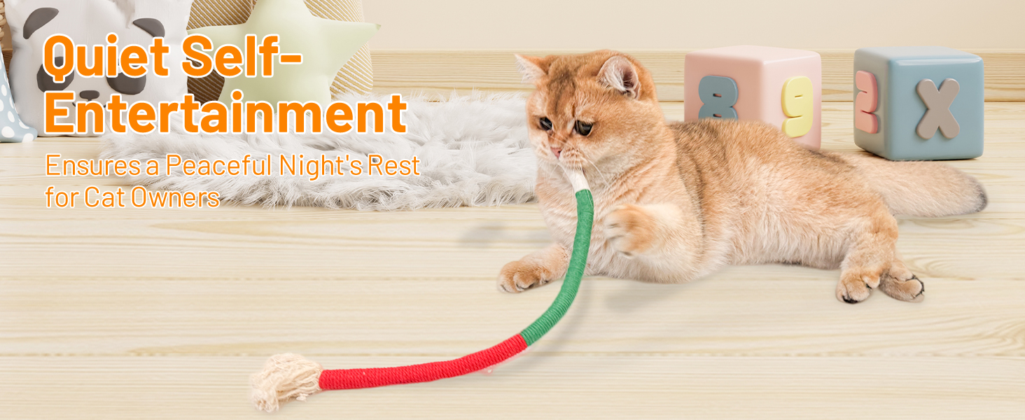 cat toys
