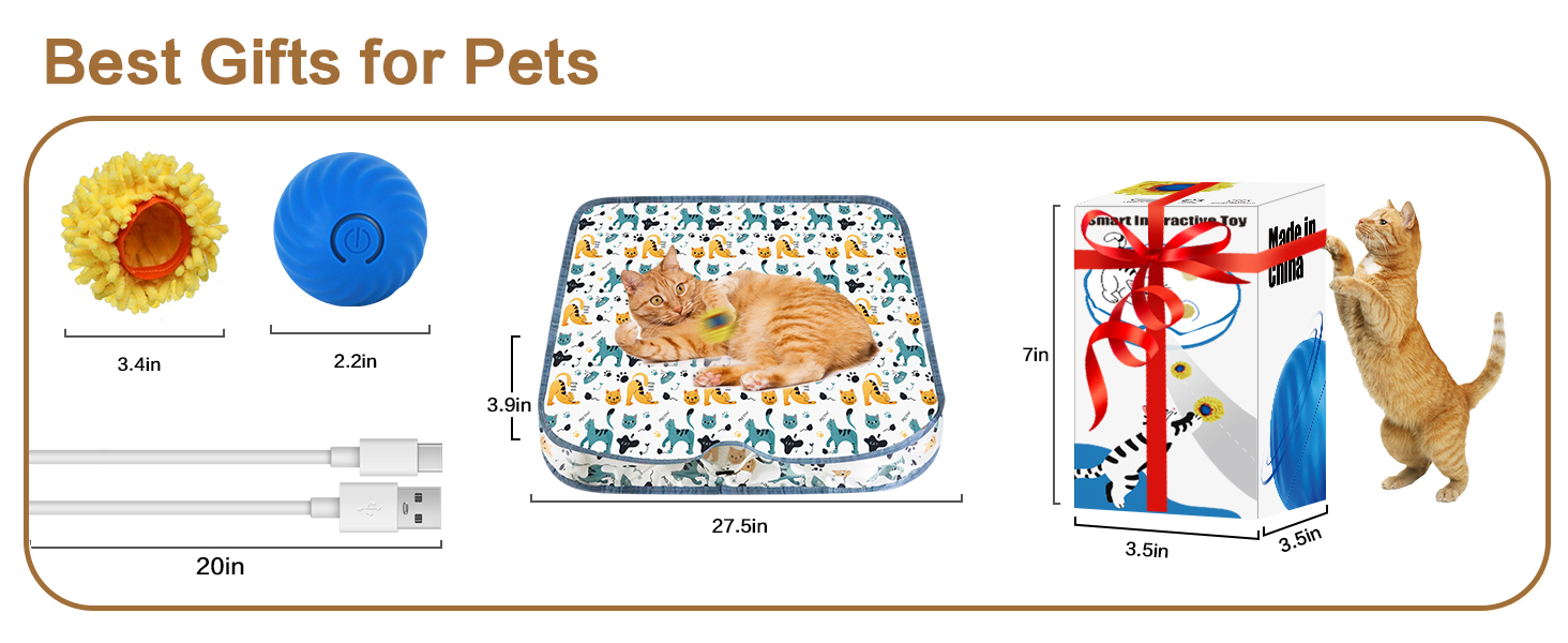 cat toy