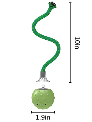 indoor cat toy