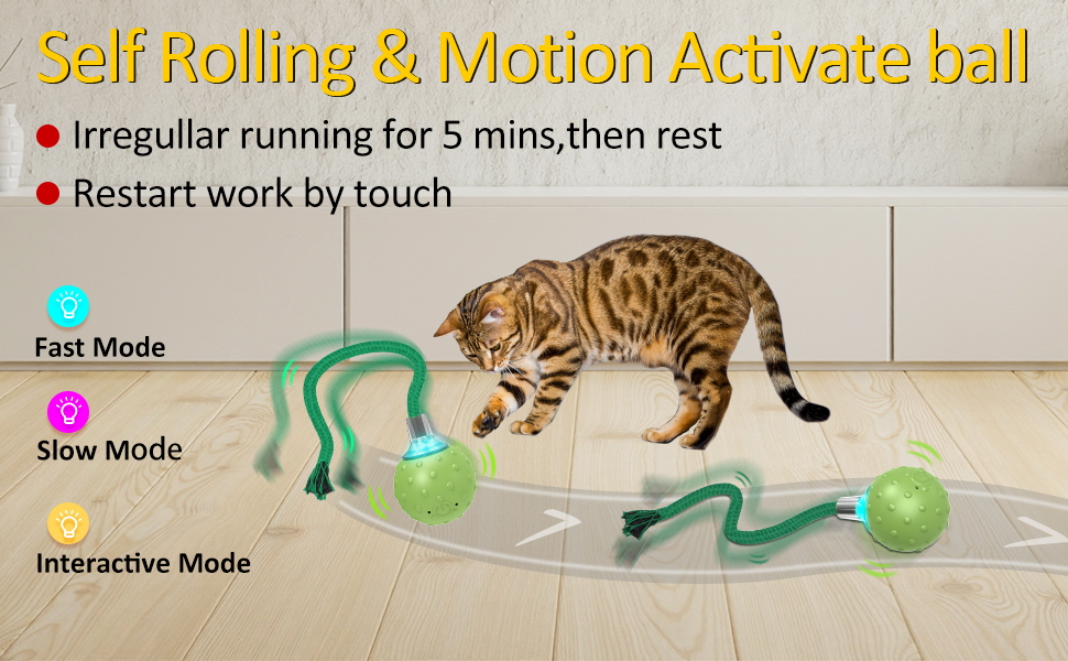 cat ball toy
