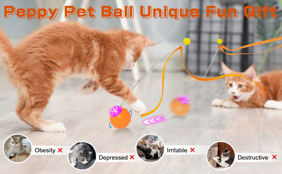 cat toys motorized
