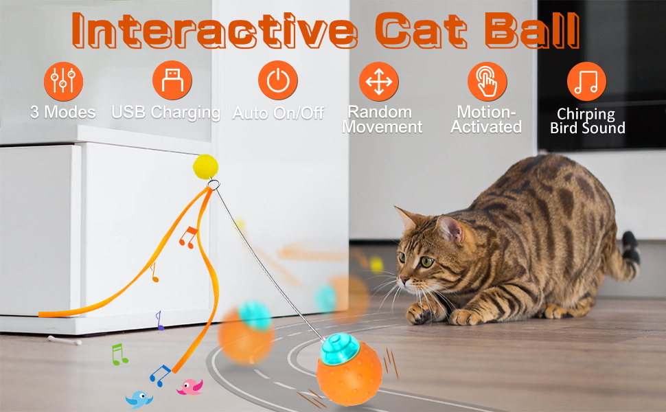 halloween Christmas Holiday Gift cat toy