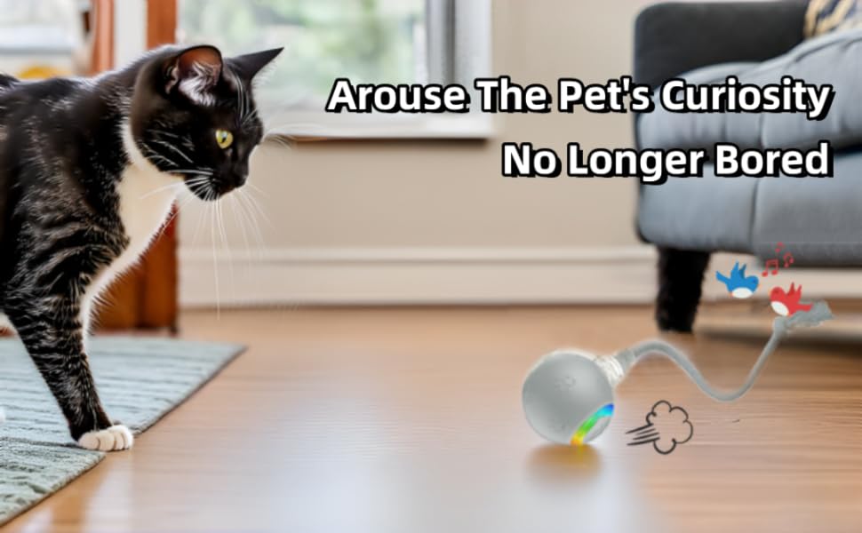 Interactive Cat Ball Toy