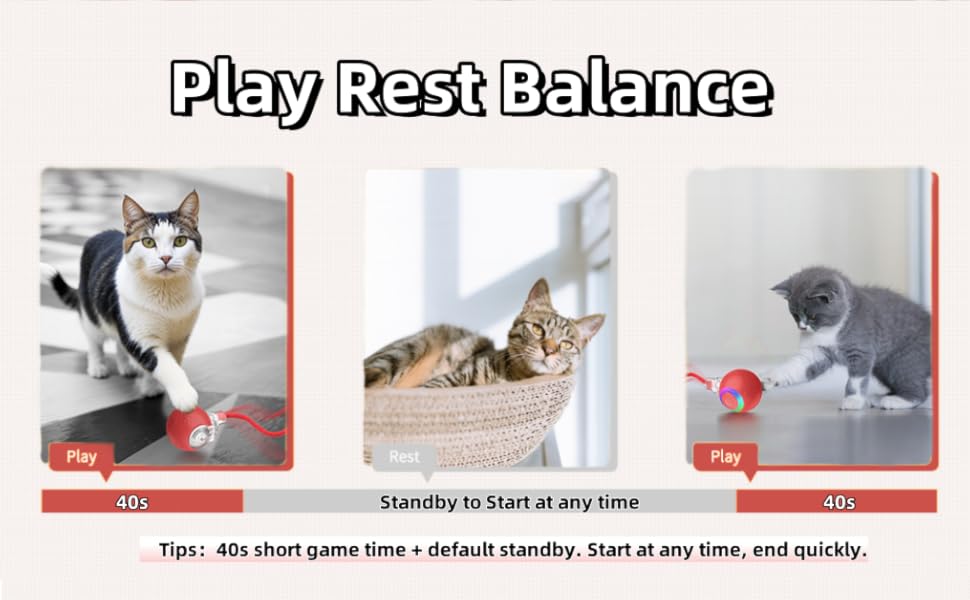 Interactive Cat Ball Toy