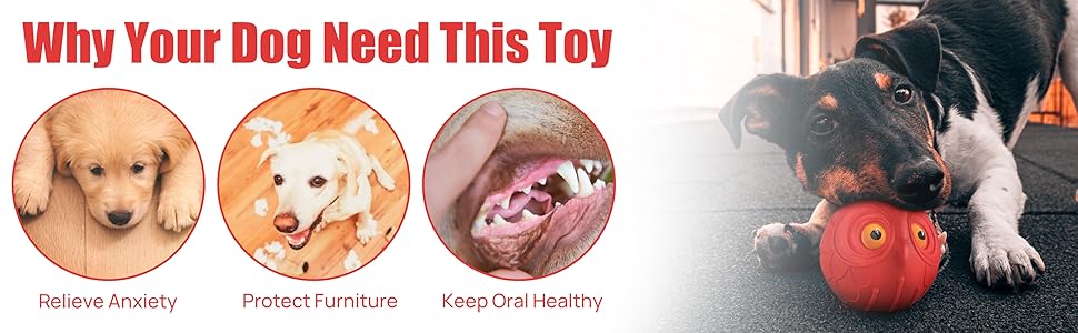 dog toy