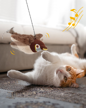 automatic cat toy