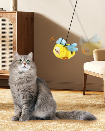 interactive cat toy