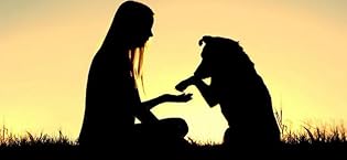 Golden-Retriever-three-cute-puppies