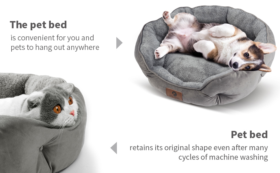 cat bed