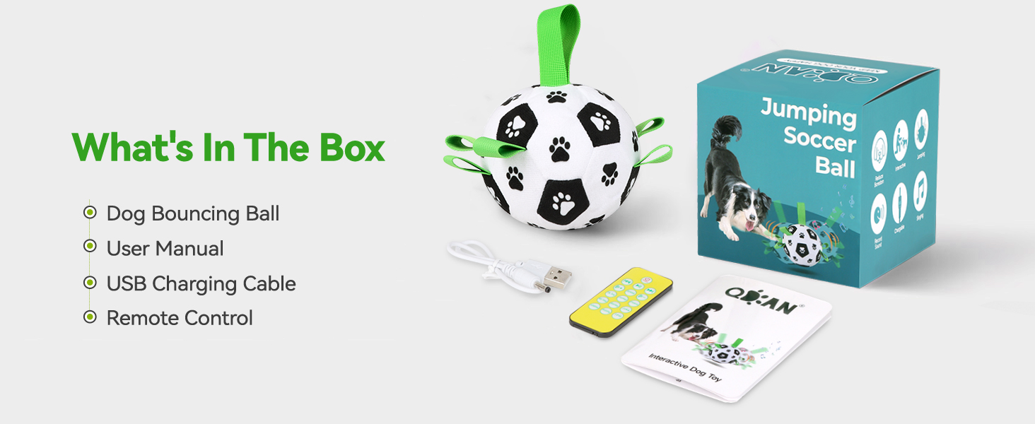 Dog Bouncing Ball
