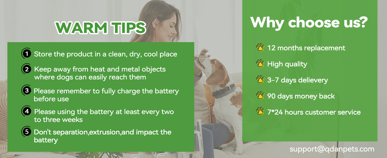 Dog Enrichment Toys