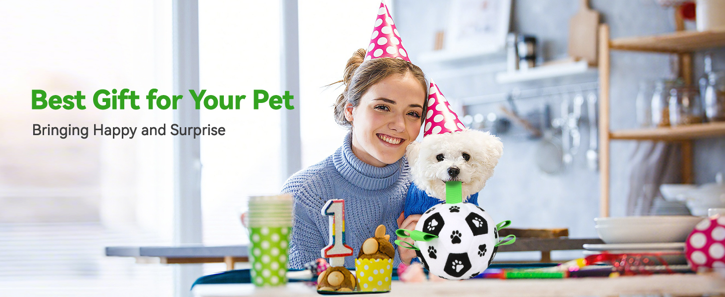 Dog Birthday Gifts Puppy Ball