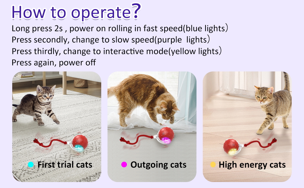 cat toys interactive