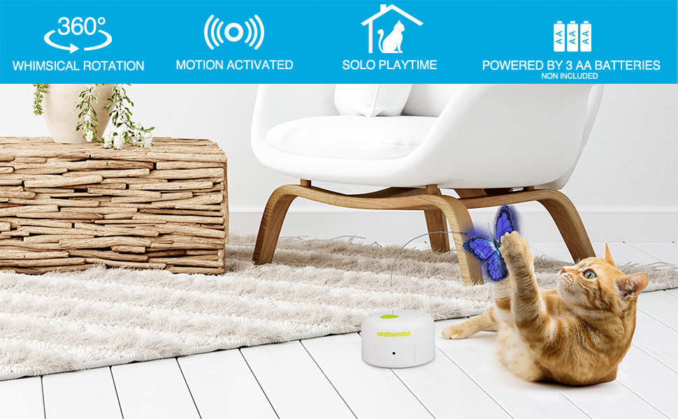 CAT TOYS
