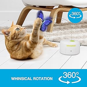automatic cat toy