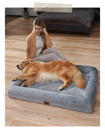 SongPuppy dog bed