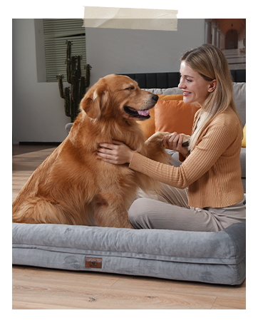 SongPuppy dog bed