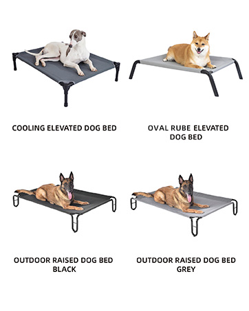 elevated dog bed