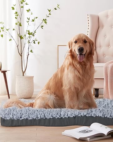 pocblue dog bed