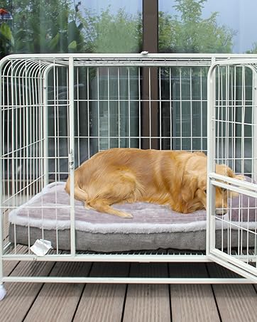 DOG BED