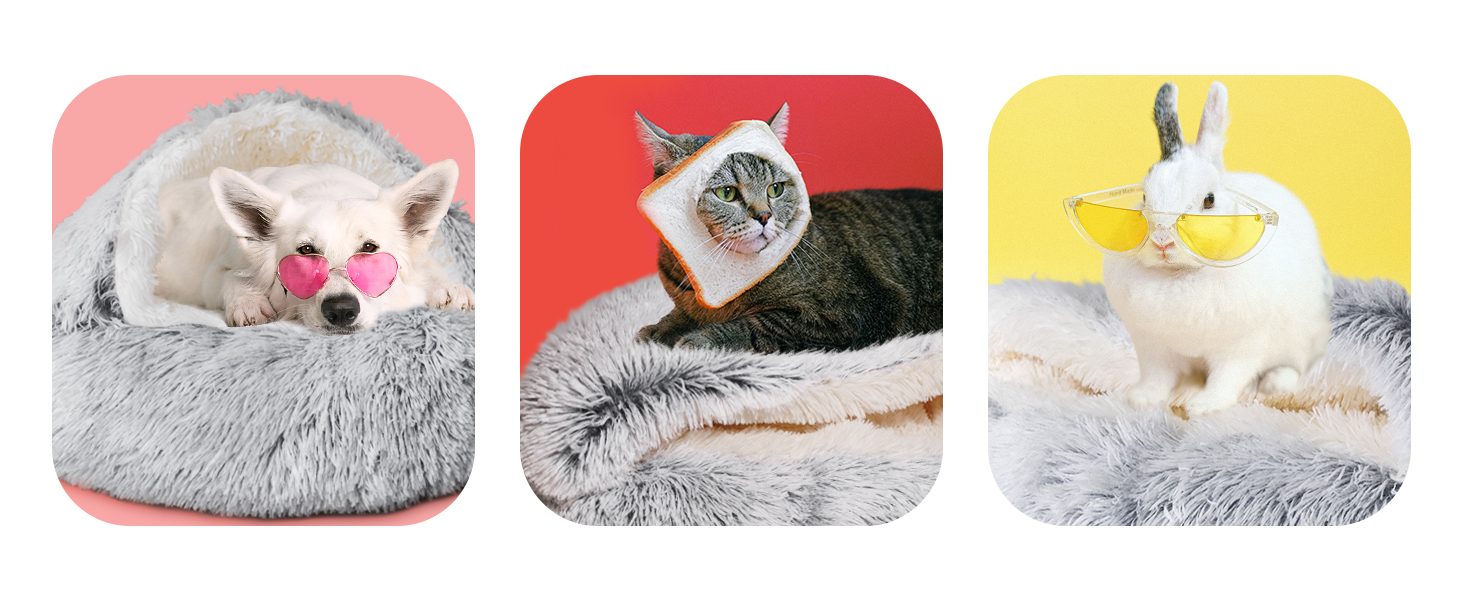 cat bed for indoor cats