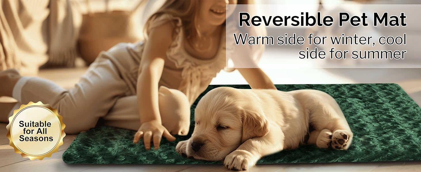 crate pads for dog cages