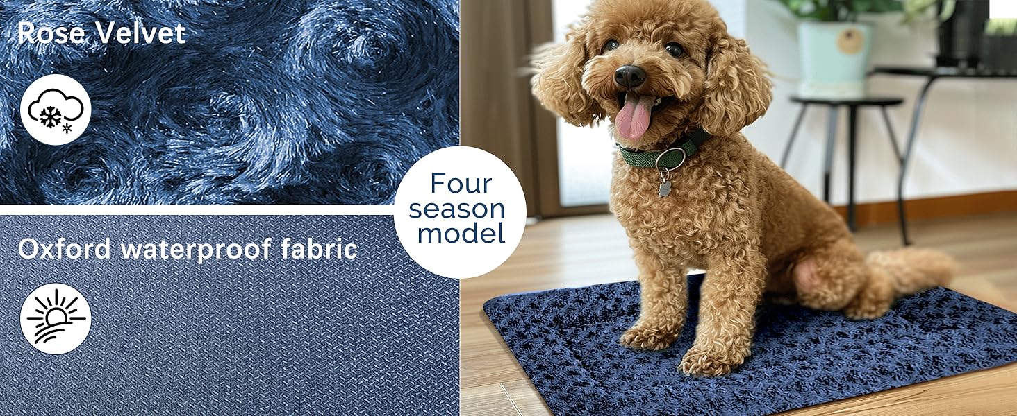 dog beds for small dogs