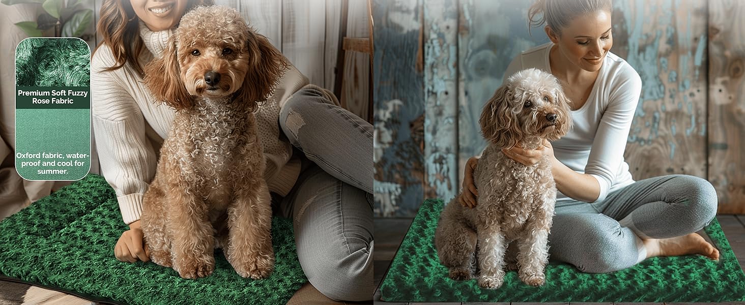 dog bed mats
