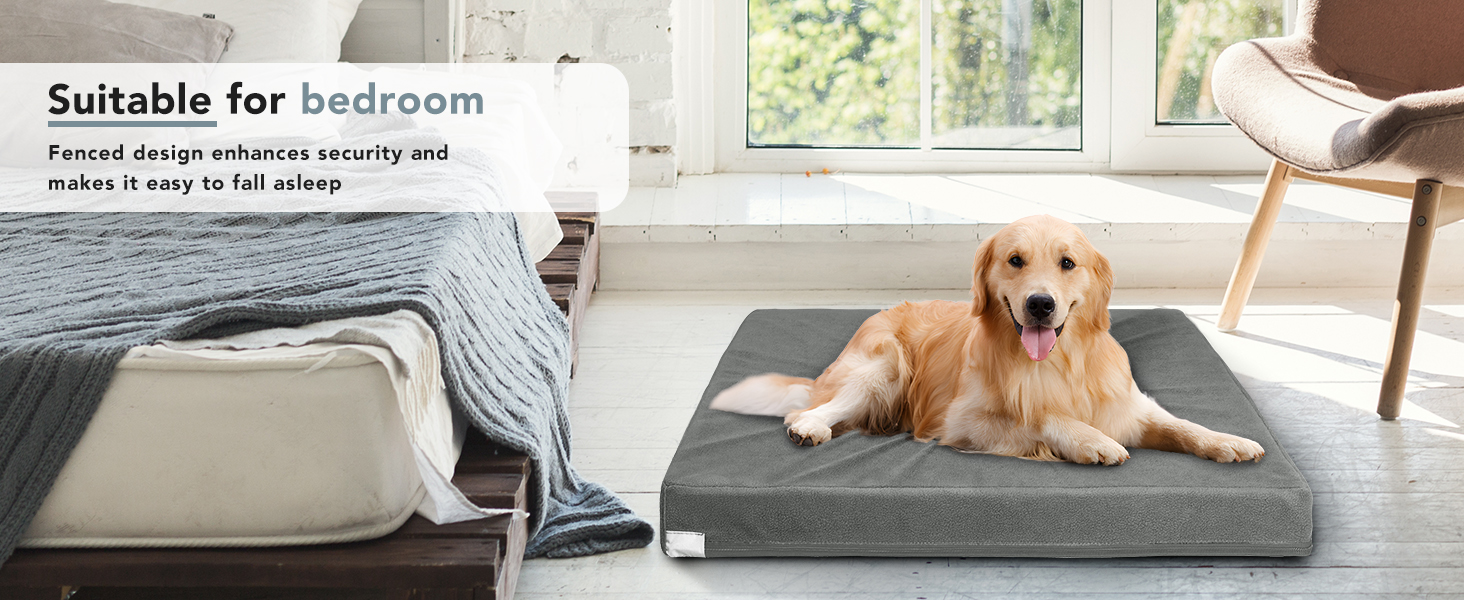 dog bed