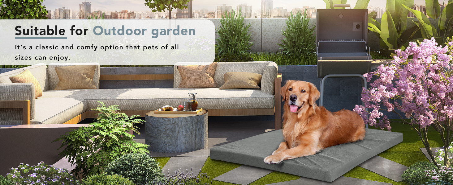 dog bed