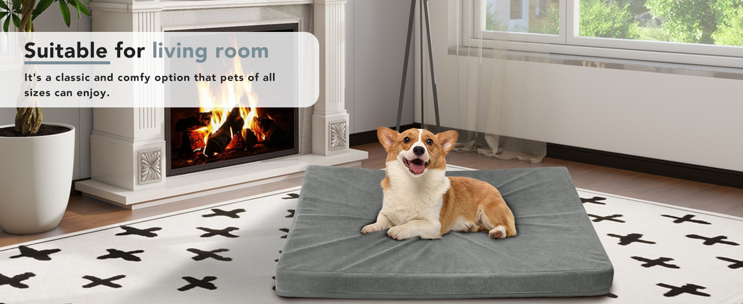dog bed