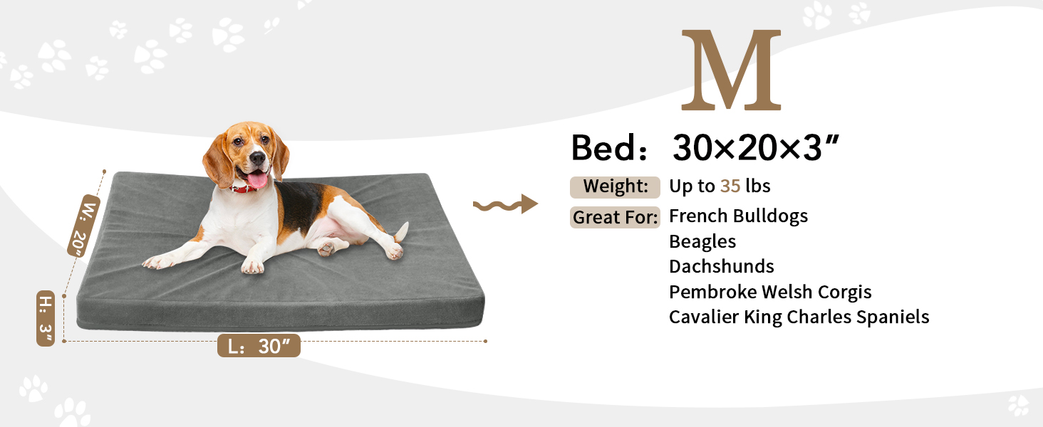 dog bed