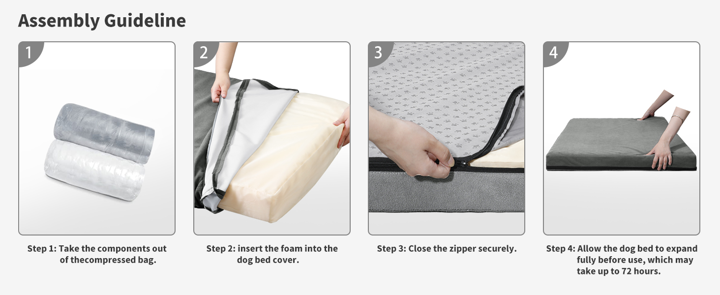 dog bed