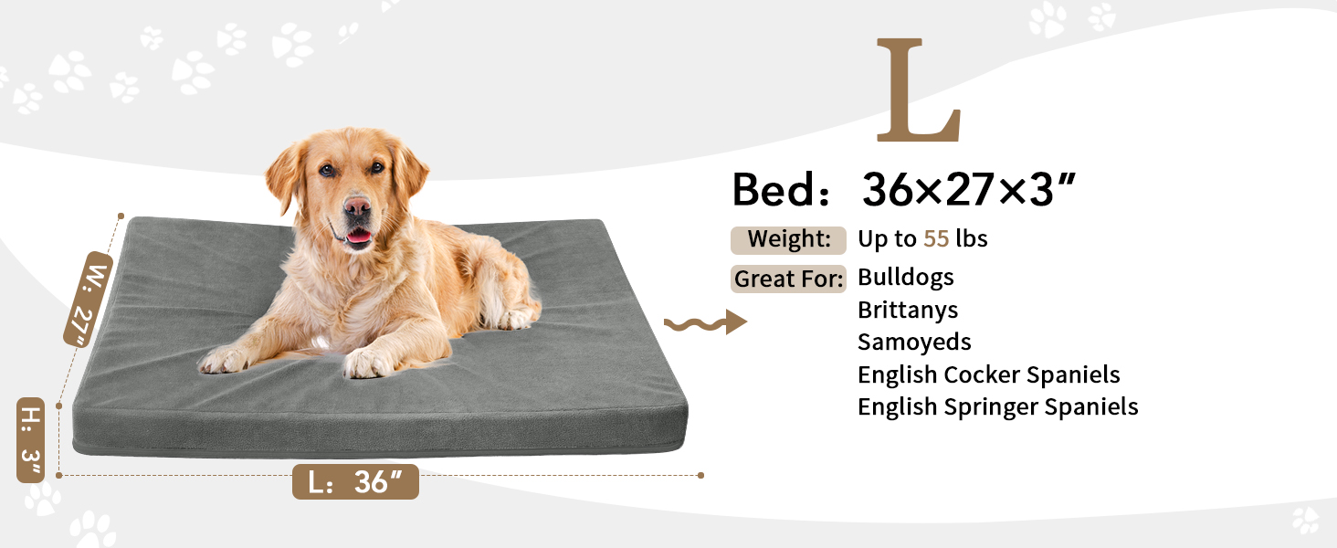 dog bed