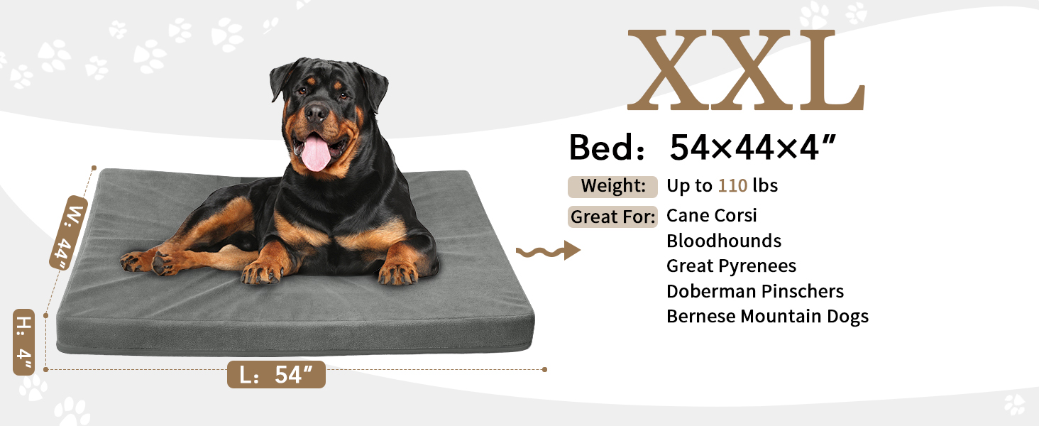 dog bed