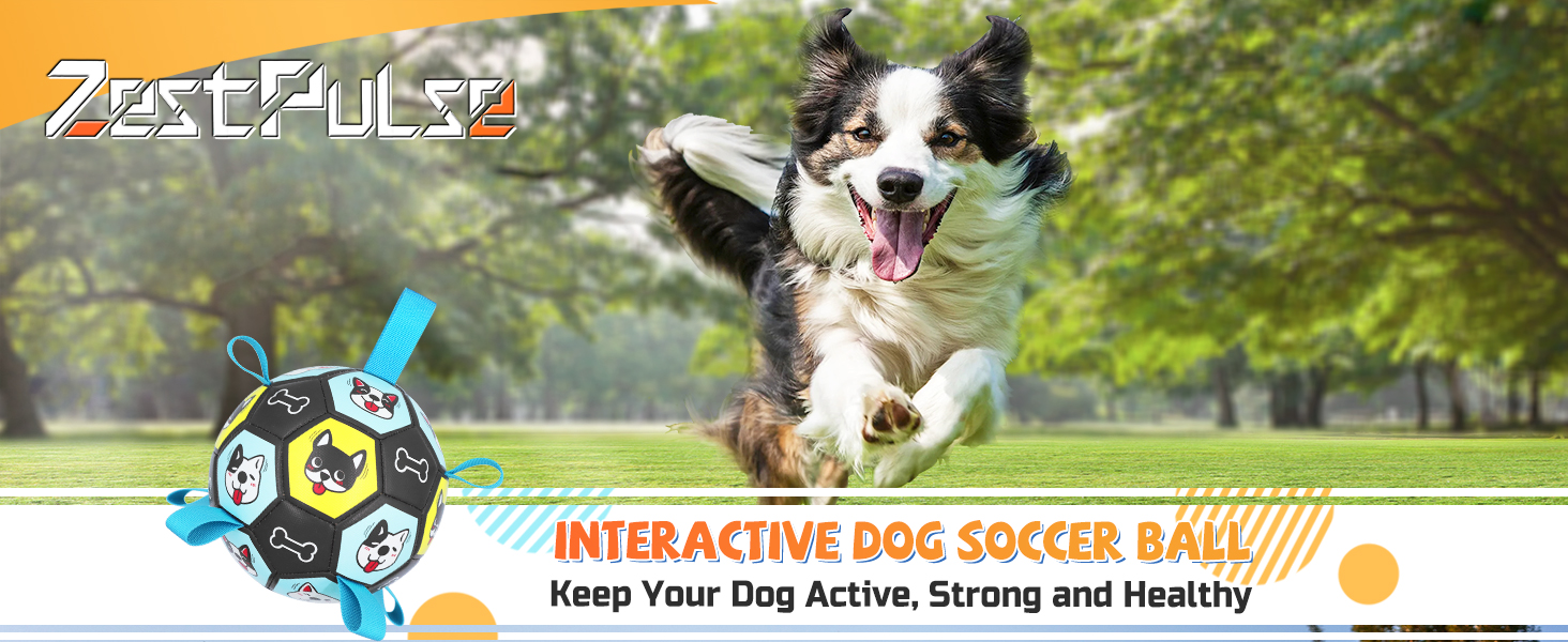 dog ball