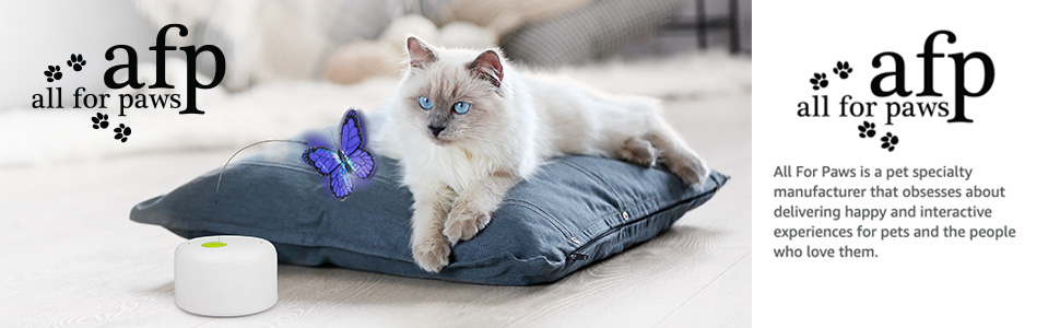 interactive cat toy