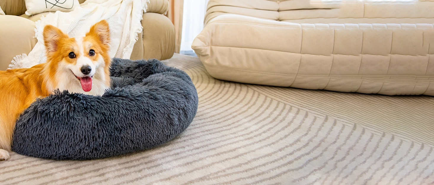 dog bed