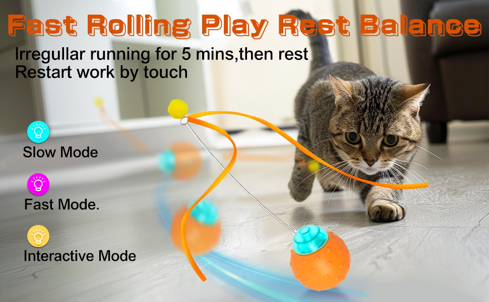 cat enrichment toys