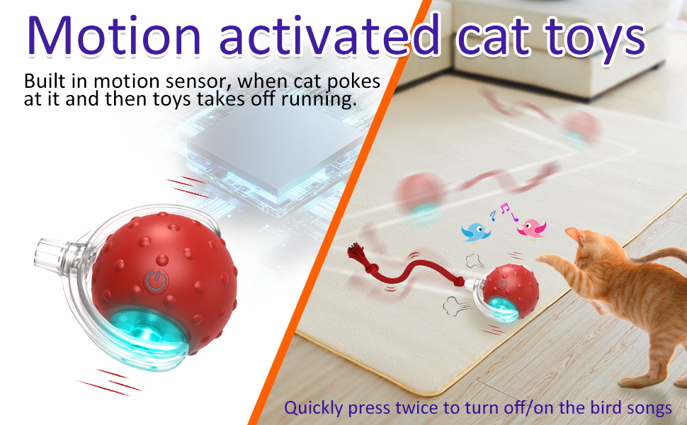 motion cat toys